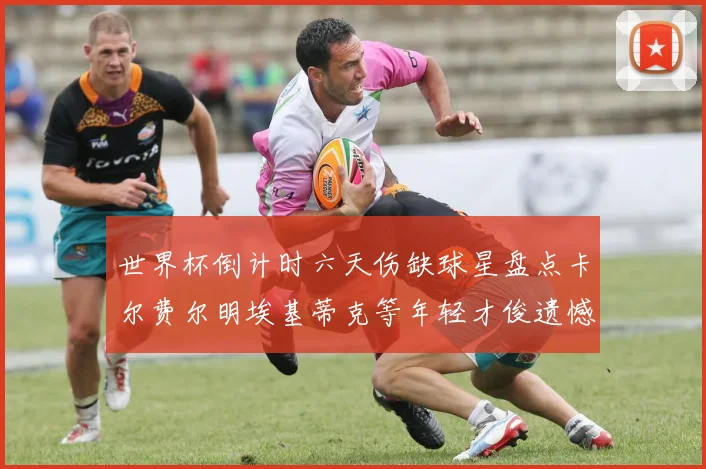 世界杯倒计时六天伤缺球星盘点卡尔费尔明埃基蒂克等年轻才俊遗憾缺席