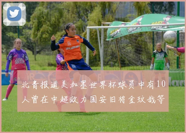 北青报道美加墨世界杯球员中有10人曾在中超效力国安旧将金玟哉等三人入选