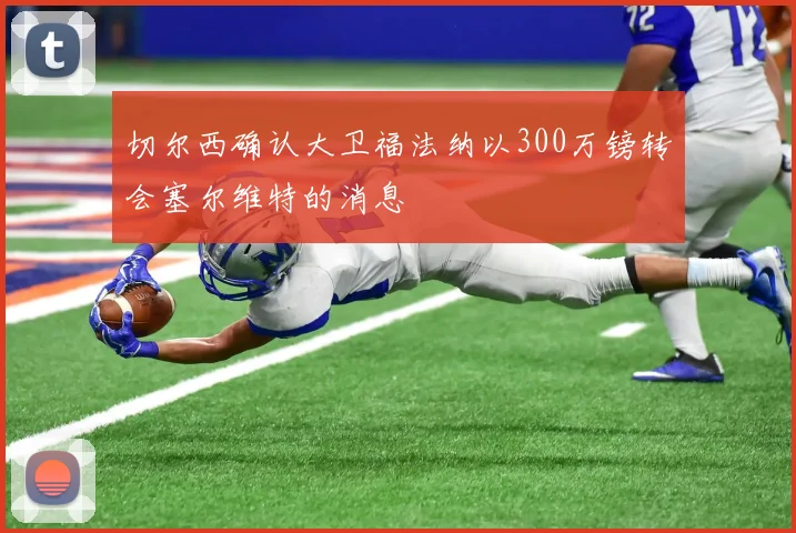 切尔西确认大卫福法纳以300万镑转会塞尔维特的消息