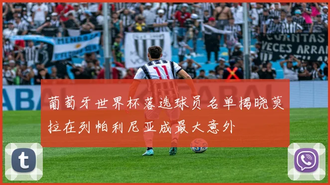 葡萄牙世界杯落选球员名单揭晓莫拉在列帕利尼亚成最大意外