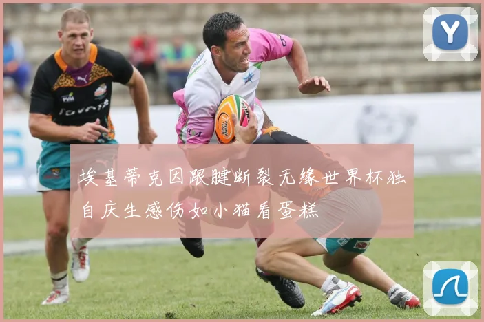 埃基蒂克因跟腱断裂无缘世界杯独自庆生感伤如小猫看蛋糕