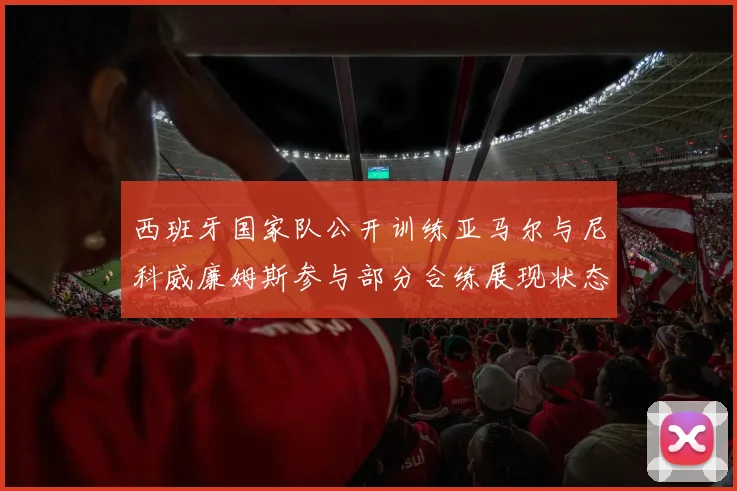 西班牙国家队公开训练亚马尔与尼科威廉姆斯参与部分合练展现状态